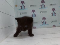 *PENUMBRA - Photo 1