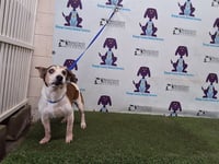 MARLEY - Photo 1