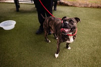 *MISS RUBY - Photo 1
