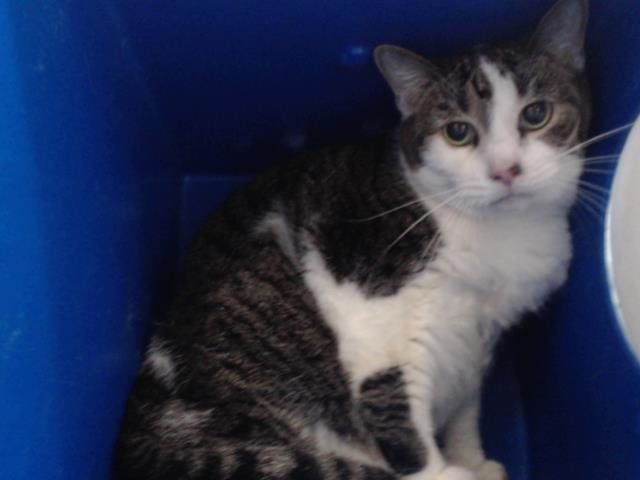 JENNY Image