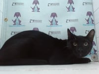 LUCKY - Photo 1