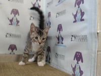 *BUDDY - Photo 1