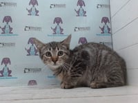 CLOE - Photo 1