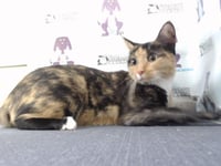 MIA - Photo 1