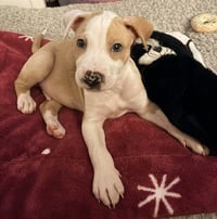 NEEDY - Photo 1