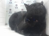 BUDDY - Photo 1