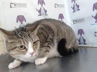 PRECIOUS - Photo 1