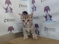 *CLOVER - Photo 1