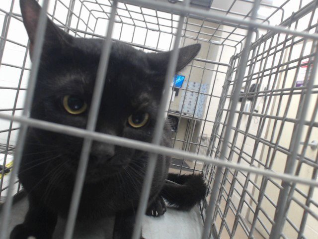 BINX Image