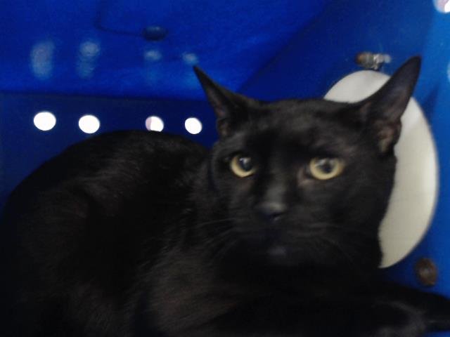 BINX Image
