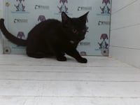 MARGOT - Photo 1