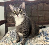 ZOE - Photo 1