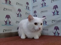 SMUDGE - Photo 1