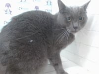 KRAMER - Photo 1