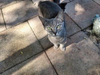 MOMMY - Photo 1