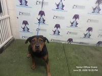 TEETEE - Photo 1