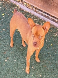 SANDY - Photo 1