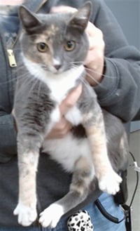 KIKI - Photo 1