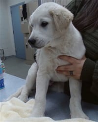 BANDIT - Photo 1