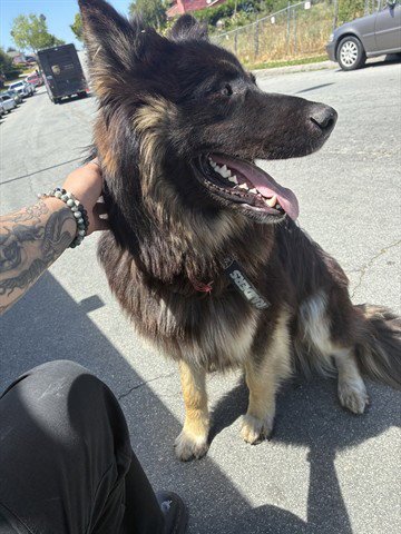 ODIN Image