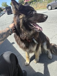 ODIN - Photo 1