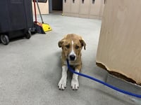WINNIE - Photo 1