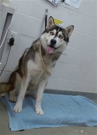 CASSIUS - Photo 1