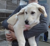 DEUCE - Photo 1