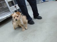 TEDDY - Photo 1