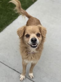 Buddy - Photo 3