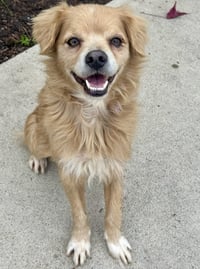 Buddy - Photo 2