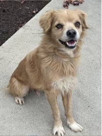 Buddy - Photo 4