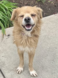 Buddy - Photo 5