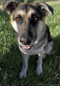 Kaia - Photo 3
