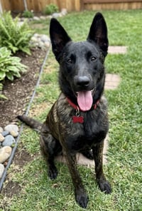 Ripley - Photo 1