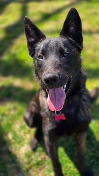 Ripley - Photo 3