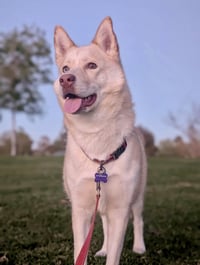 Berlin - Photo 4