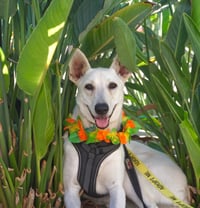 Gracie Mae - Photo 5