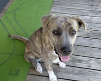 Sharon - Photo 5