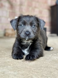 Keeley - Photo 3