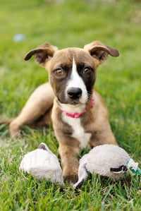Mindy - Photo 1