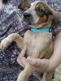 Zeus - Photo 1
