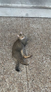 Walter - Photo 2