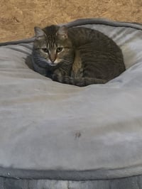 Walter - Photo 3