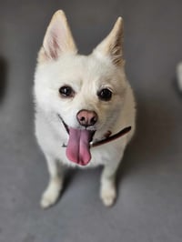 Polar - Photo 3