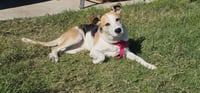 Dolores - Photo 7