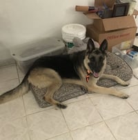 Max - Photo 1