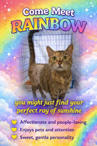 Rainbow (FCID# 04/08/2026 - 20 Trainer) - Photo 3