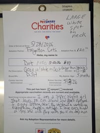 Dot (FCID# 05/12/2026 - 37 Brandywine PS) C - Photo 2