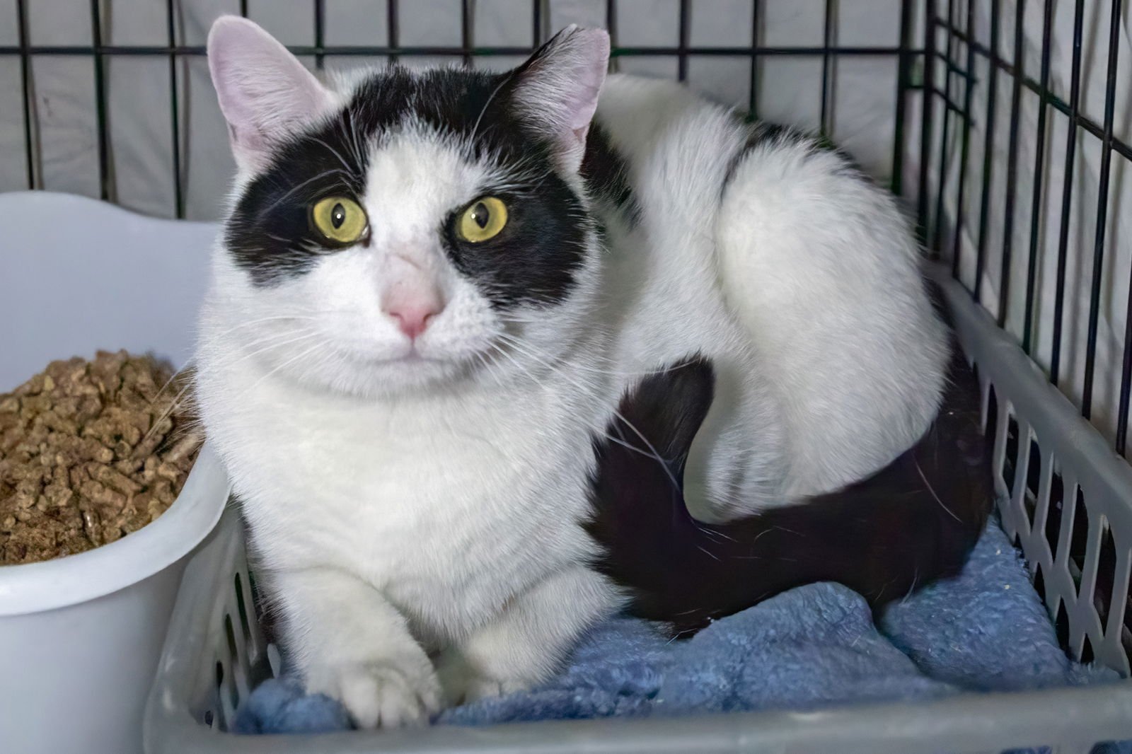 Baxter & Finn (FCID# 10/06/2025 - 17 Trainer) C - Photo 3